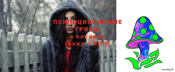 гашик Касимов