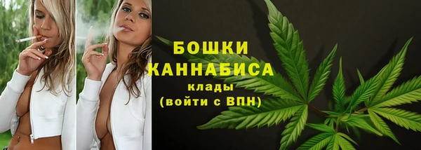 Альфа ПВП Карпинск