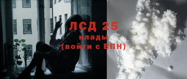 гашик Касимов