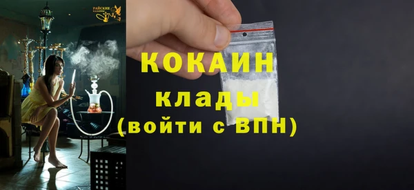 гашик Касимов