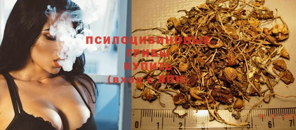 гашик Касимов