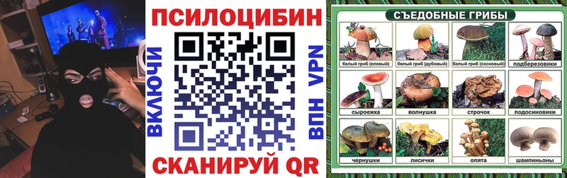 Купить где  Заринск  Псилоцибиновые грибы MAGIC MUSHROOMS 