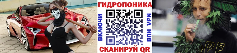 Купить закладки  Заринск  Бошки марихуана семена 